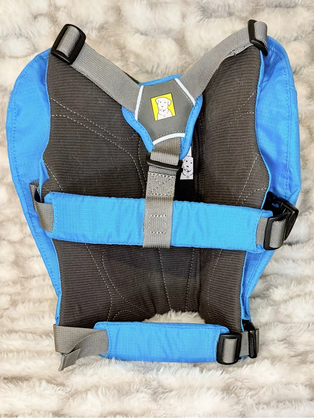 Ruffwear Singletrak Dog Hydration Vest in Bright Blue with Lime Accents